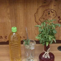 شربت و عرقیجات آزادی