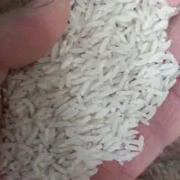 برنج هاشمی محصول خودم