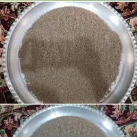 عدس دیم عالی بوجاری شده خوشپخت