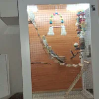 قفس و لانه بزرگ mdf