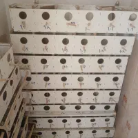 لانه پرنده|لوازم جانبی حیوانات|نیشابور, محله میدان باغات|دیوار