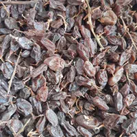 کشمش سرکه ای|خوردنی و آشامیدنی|ماهدشت, |دیوار