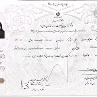 تحصیلات در دانشگاه