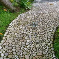 انواع سنگهای قلوه آنتیک تزئینی|مصالح و تجهیزات ساختمان|حمیدیا, |دیوار