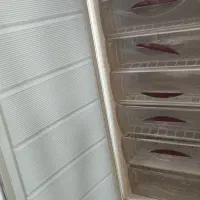 فریزر|یخچال و فریزر|چابهار, |دیوار