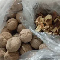 گردو محلی|خوردنی و آشامیدنی|شیراز, گلشن|دیوار