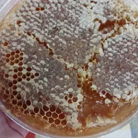 عسل طبیعی کوهستان|خوردنی و آشامیدنی|بانه, |دیوار