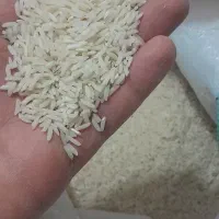 برنج هاشمی درجه یک