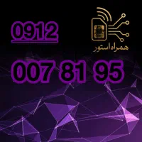 912-007-81-95