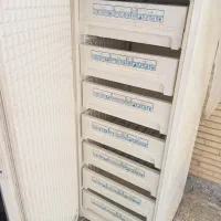 فریزر پارس