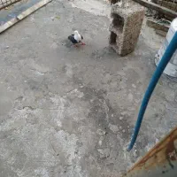 اجاره-کارگاه