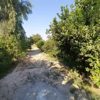 باغ شمس آباد بنوار. شامی دز فول|فروش خانه و ویلا|اهواز, نادری|دیوار