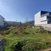 فروش زمین با ویوی جنگل کد ۱۰۸۸|فروش زمین و ملک کلنگی|چمستان, |دیوار