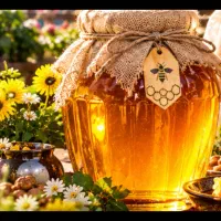 فروش عمده عسل(۱۷  کیلو)
