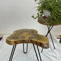 جلو مبلی و گل میز