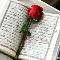 برای توضیحات پیام بده