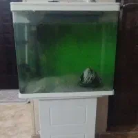 آکواریوم طرح جدید