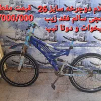 شادگان مندوان