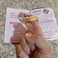 تکپوش بچگانه سایز ۲ (تا ۴ یا ۵ سال)