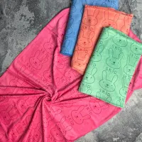 حوله ی استخری نانو اسکیپ