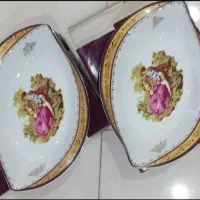 بشقاب میوه خوری مناسب باغ|ظروف سرو و پذیرایی|سبزوار, عظیمیان|دیوار