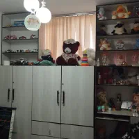 آپارتمان اجاره|اجارهٔ آپارتمان|بیرجند, |دیوار