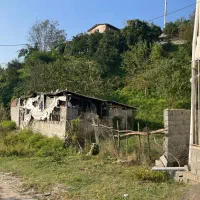 فروش زمین جنگلی در لفور