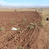 زمین احداث کارخانه و سوله بیلوردی نمرور|فروش زمین و ملک کلنگی|خواجه, |دیوار