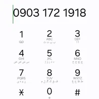 09031721918