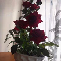 گل مصنوعی