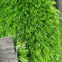 چمن مصنوعی|گل مصنوعی|شیراز, اصلاح‌نژاد|دیوار