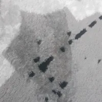 گلیم ۹متری سالم فقط یک جای سوختگی داره|گلیم، جاجیم، گبه|کرمانشاه, |دیوار