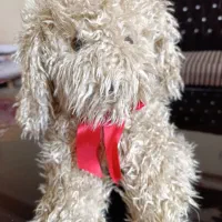 تعدادی عروسک