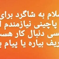 شاگرد ساده برای کار در پاچینی نیازمندم