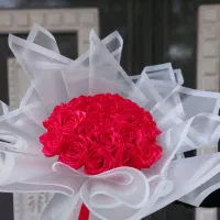 20شاخه قرمز جذاب کاغذ دوبل|گل مصنوعی|قوچان, |دیوار