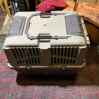 باکس سگ بزرگ