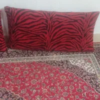 فرش و دو عدد پشتی