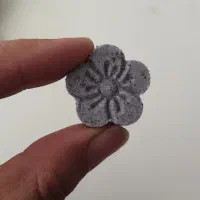 قندو نبات عمده وتک بابالاترین کیفیت اولین مدرس رشت