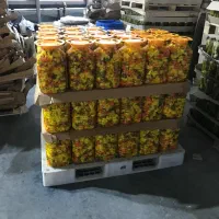 خیارشور حلب|خوردنی و آشامیدنی|تهران, چیتگر جنوبی|دیوار