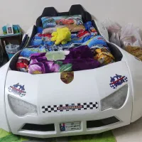 سرویس خواب آپادانا