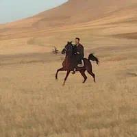 اسب نریان کرد|اسب و تجهیزات اسبسواری|تیکمه داش, |دیوار