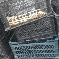 سبد جا گوجه ای