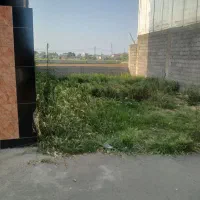فروش زمین مسکونی ۸۸ متری در ولکس|فروش زمین و ملک کلنگی|رشت, عینک|دیوار