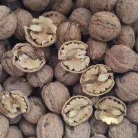 ۶کیلوگردوارگانیک کامل بخونید