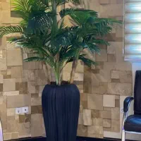 فروش انواع درختچه به قیمت عمده|گل مصنوعی|ساری, |دیوار