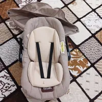 رورک بچه|اسباب و اثاث بچه|مشگین شهر, |دیوار