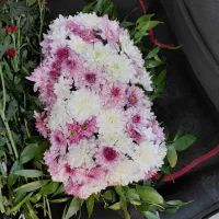 گل آماده|گل و گیاه طبیعی|ری, علایین|دیوار