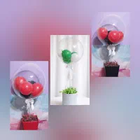 بوبو بالن و باکس ولنتاین