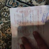 واگذار سگ پامر اشپیتز 8ماهه تربیت شده|سگ|کرمانشاه, |دیوار