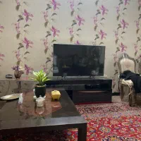 نیروی کار خانم متعهد برای بانوی سالمند